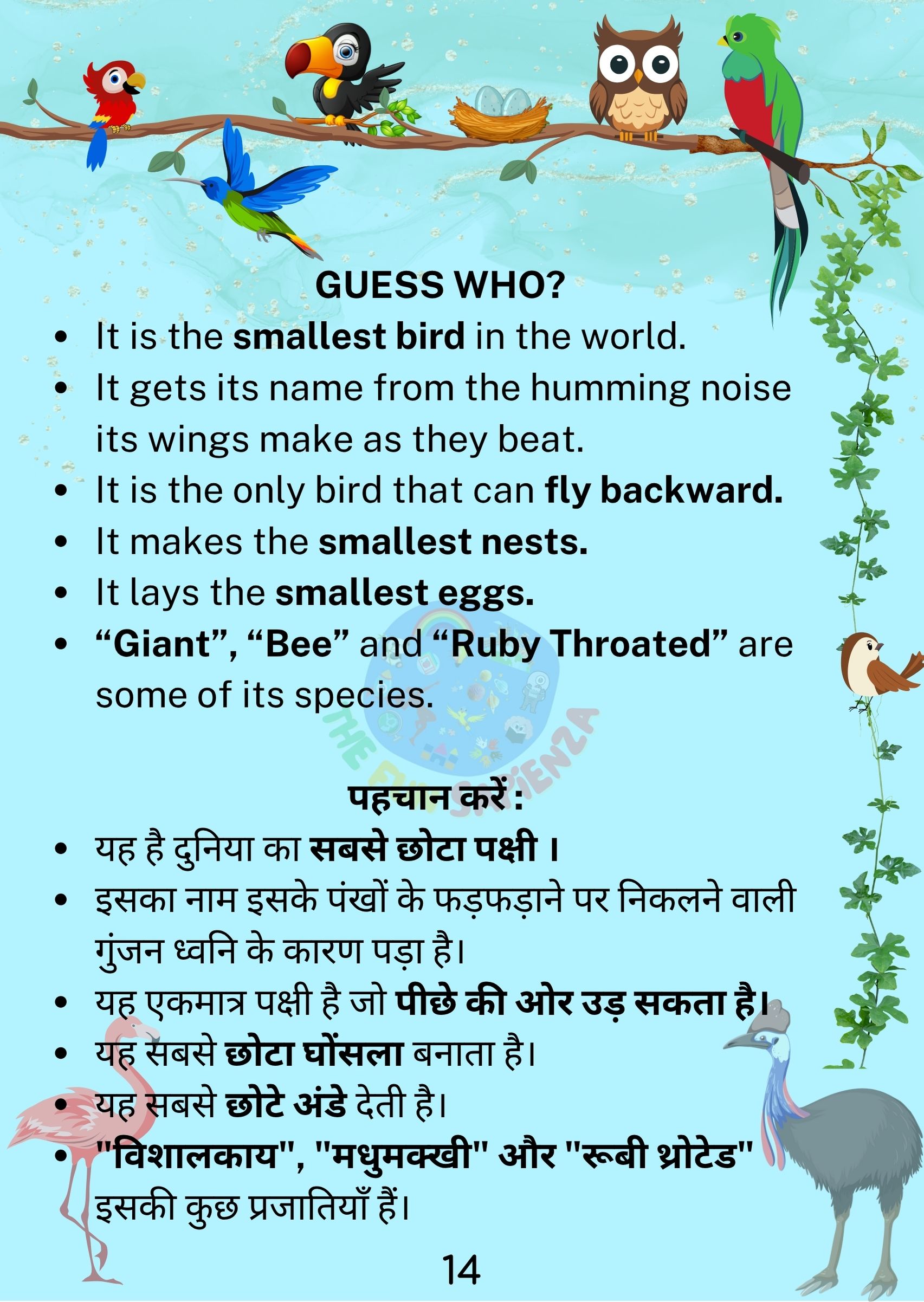 Bird 2 Back